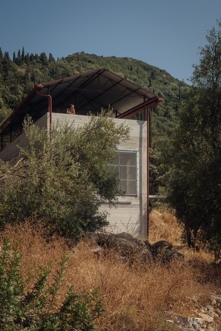 House in an Olive Grove